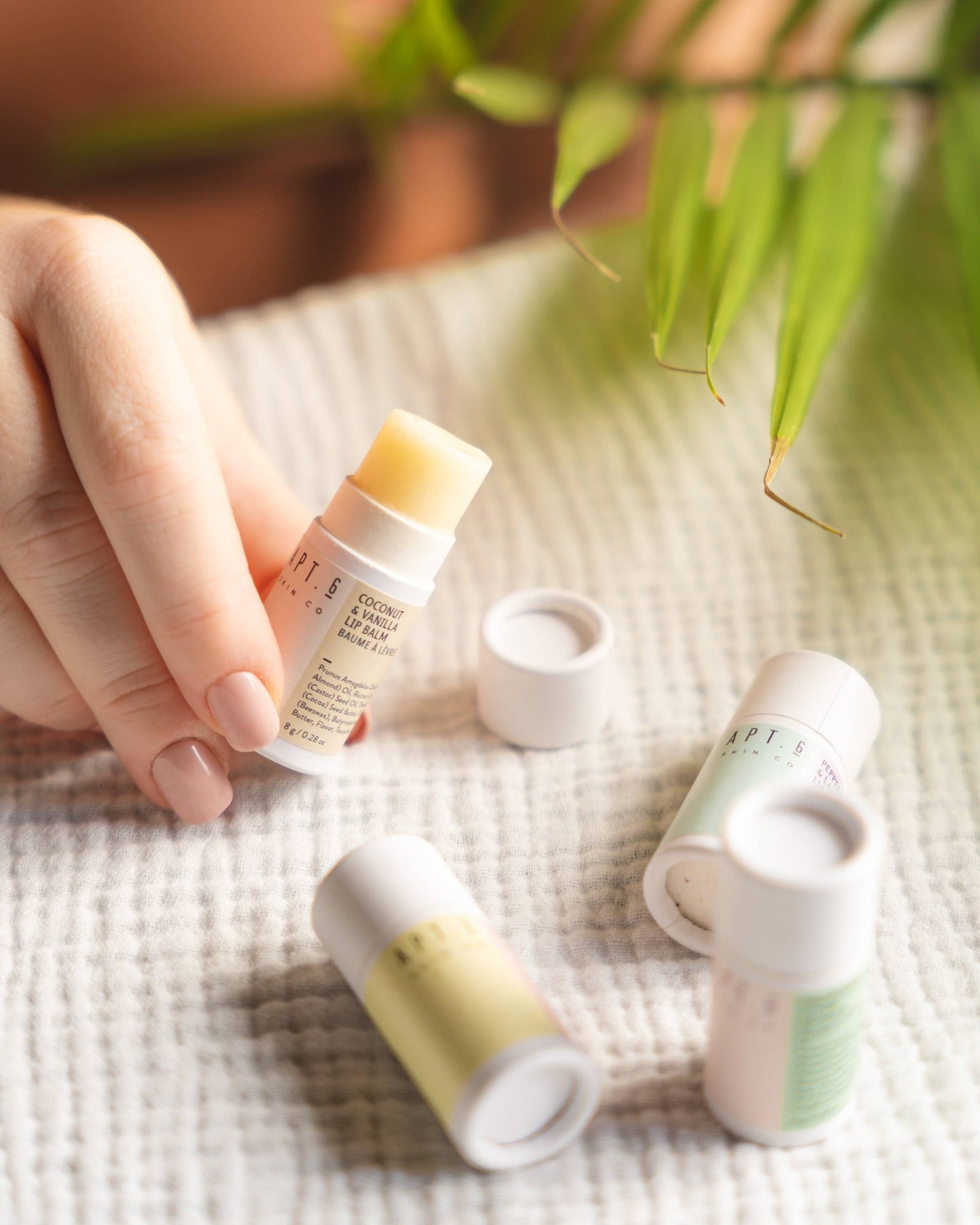 Compostable Lip Balms: Coconut + Vanilla